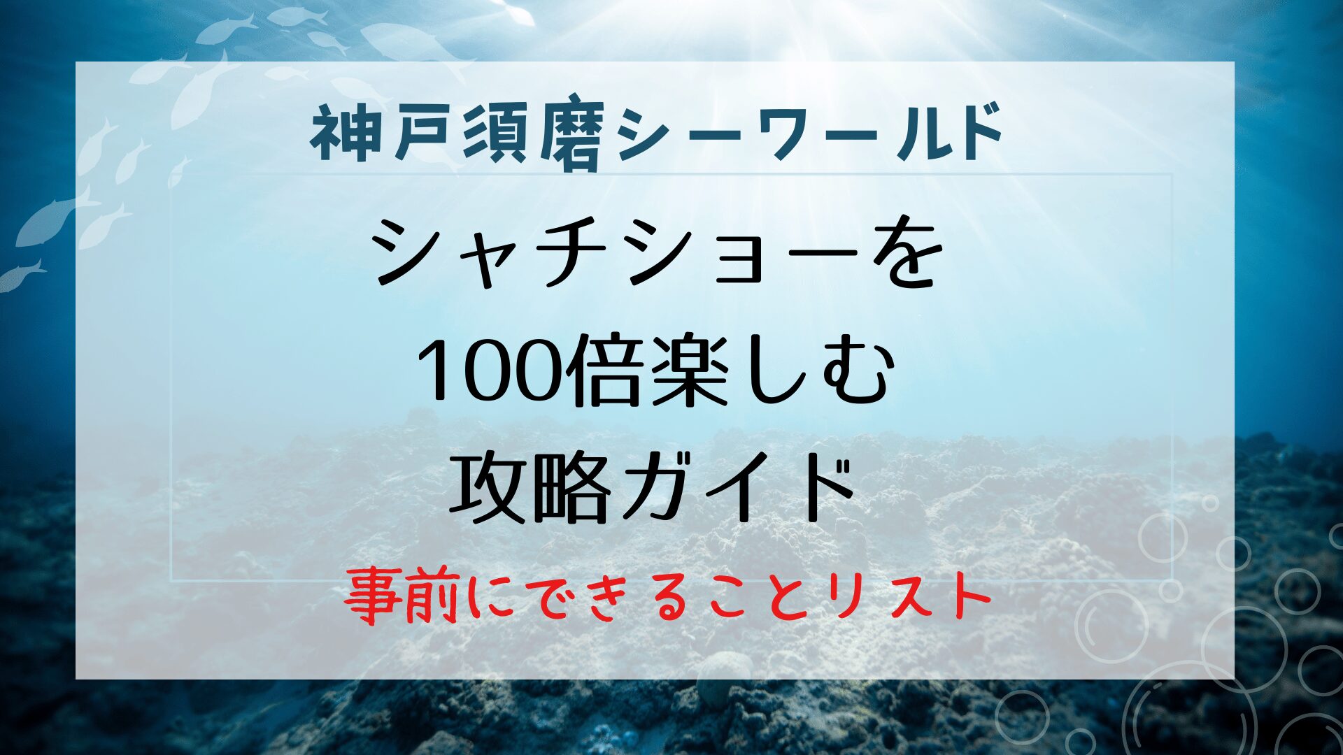 須磨シーワールドのシャチショー攻略